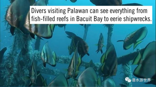 菲律宾10大海岛排名,菲律宾十大海岛