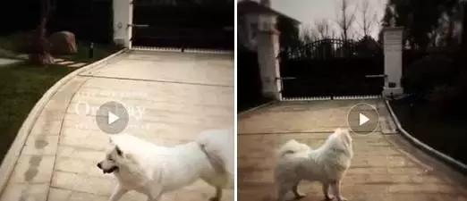 靠乖乖女一角走红却身边名裂，背后竟与整容有关