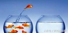 深知观点：跨界进入快消品市场为什么那么难！