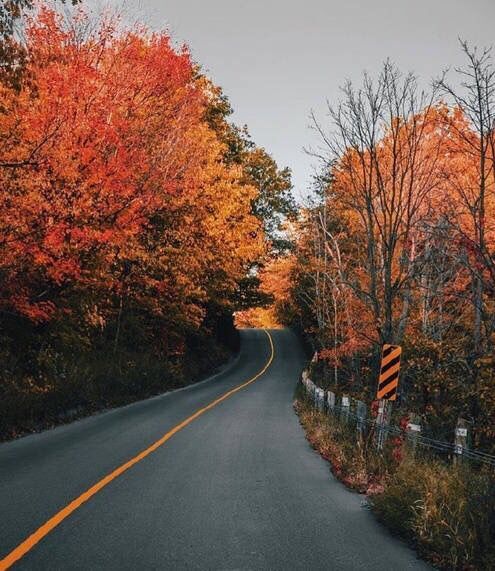 秋季应怎么养生,秋季喝什么茶养生最好