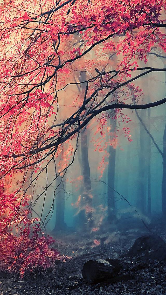 百家姓全文目录及汉语拼音,百家姓带拼音全部版