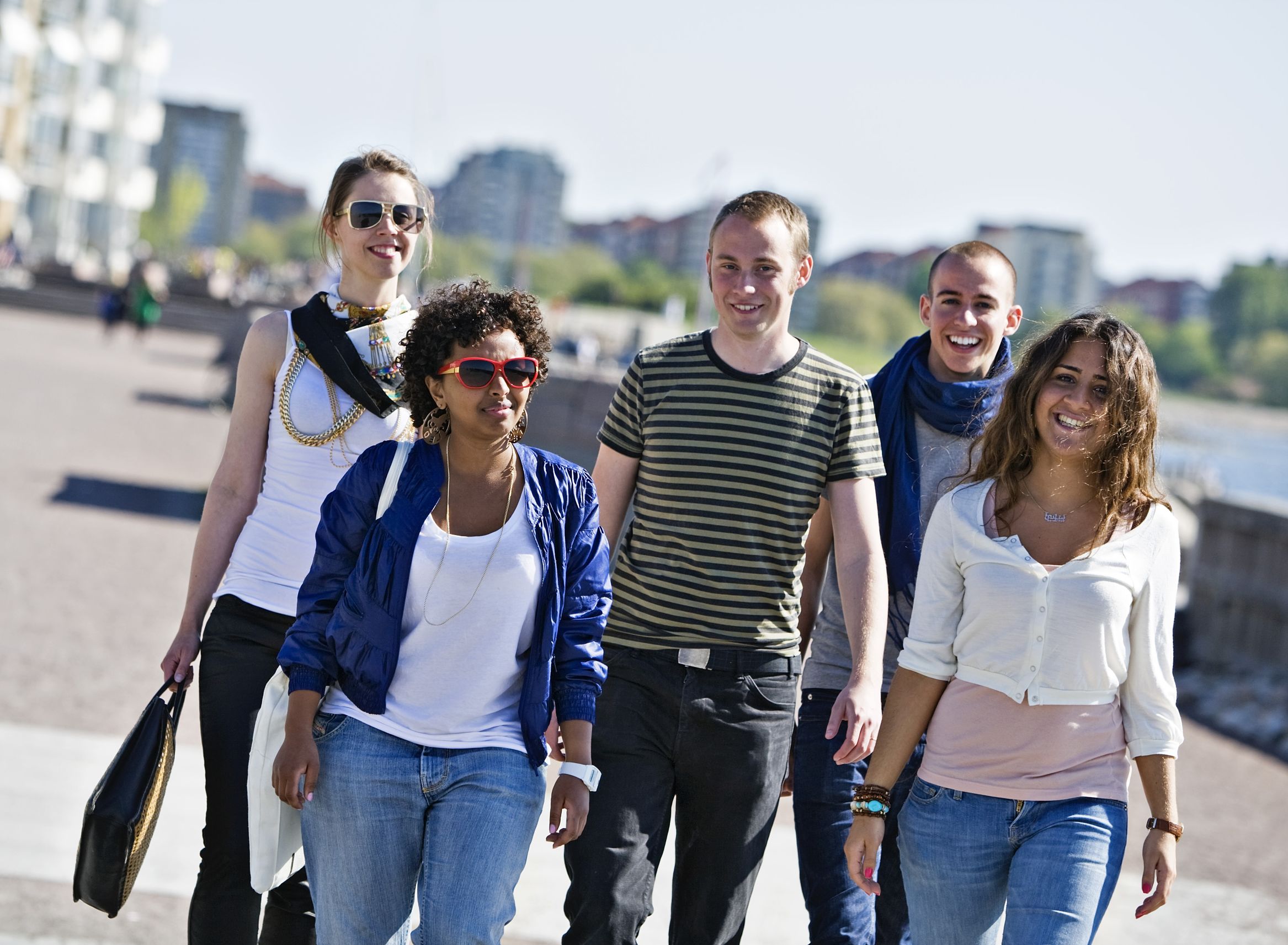 瑞典的移民大多来自哪里,瑞典移民和爱尔兰移民