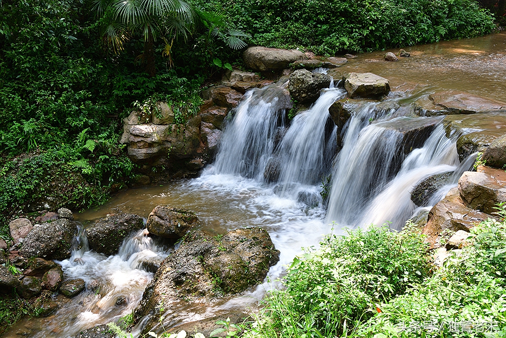 涓轰粈涔堝窛濡瑰瓙鍚冭荆鐨勫悆涓嶈儢,涓轰粈涔堝窛濡瑰瓙鍚冮偅涔堟补鑵婚兘涓嶈儢
