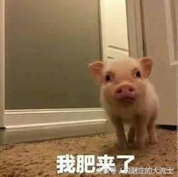 说的就是你抖音版,民营系p2p网贷平台