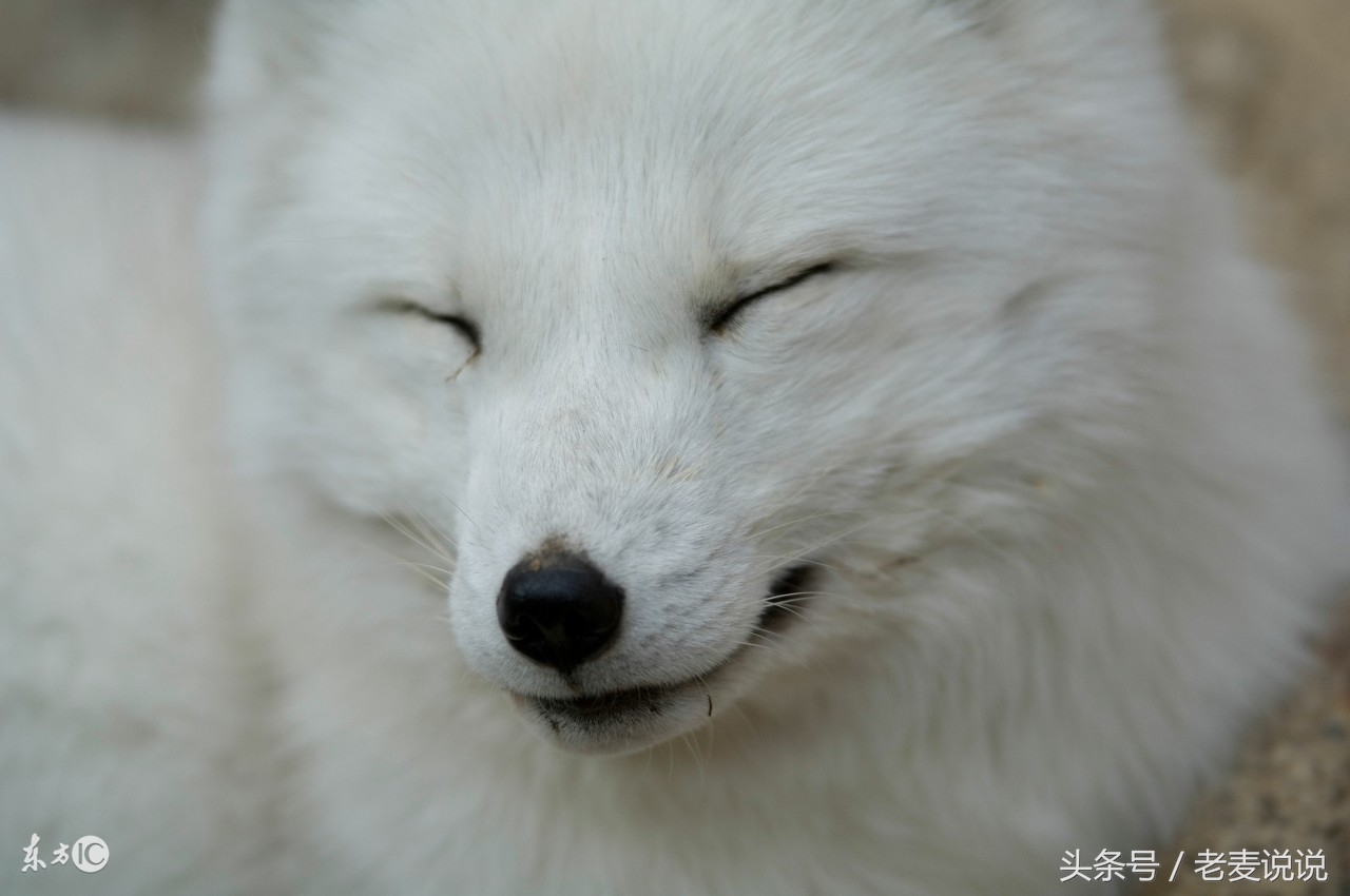 说出马78:立了堂要送走,难上加难,整不好还反噬,立堂要谨慎