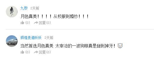 最虐狗动漫,最虐狗的动画