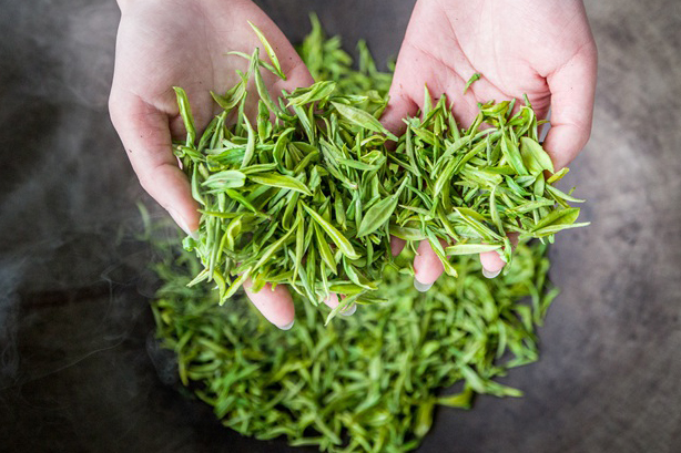 制茶工艺晒青,制茶工艺之摊青与萎凋的区别
