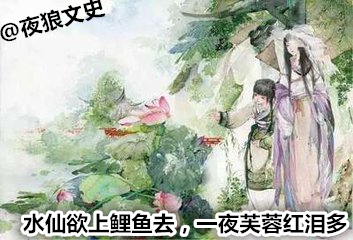 历史上曹丕真正最爱的人是谁,曹丕最爱的女人是不是甄宓