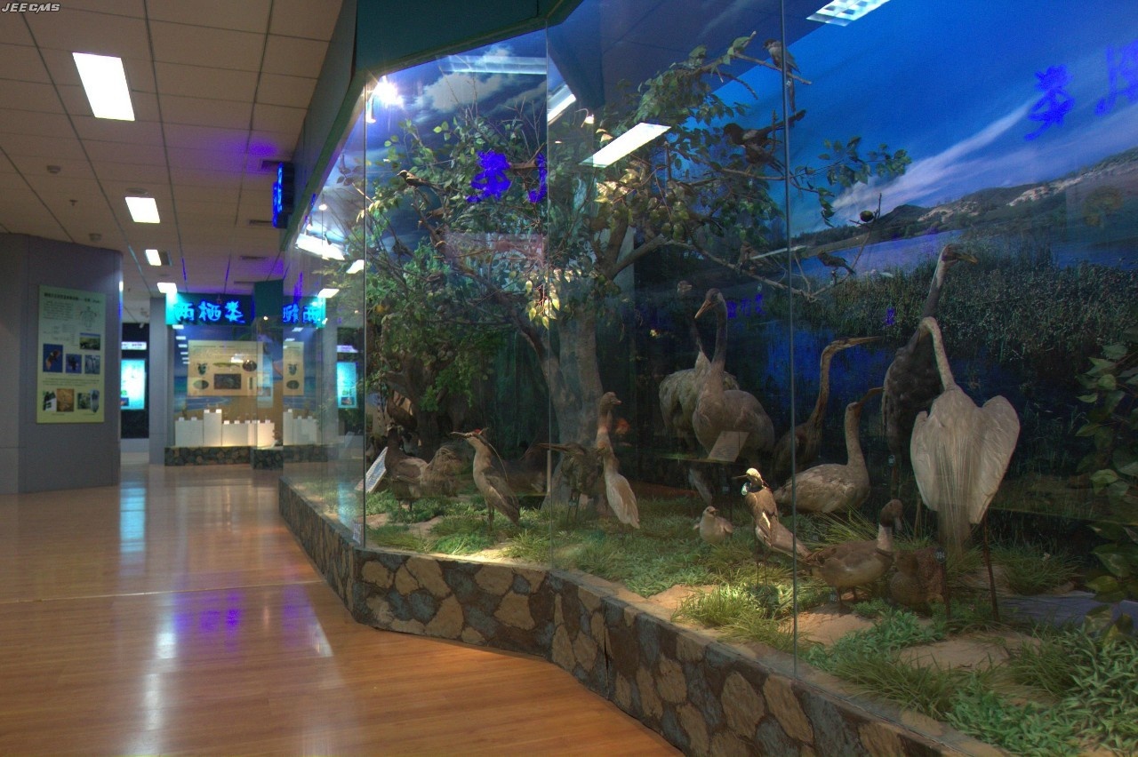 全国唯一的国家级大学博物馆,全国第一家高校博物馆