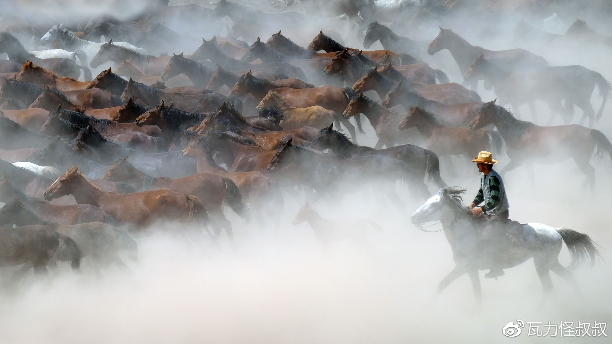 富士龙x镜头怎么选,富士龙x卡口镜头价格