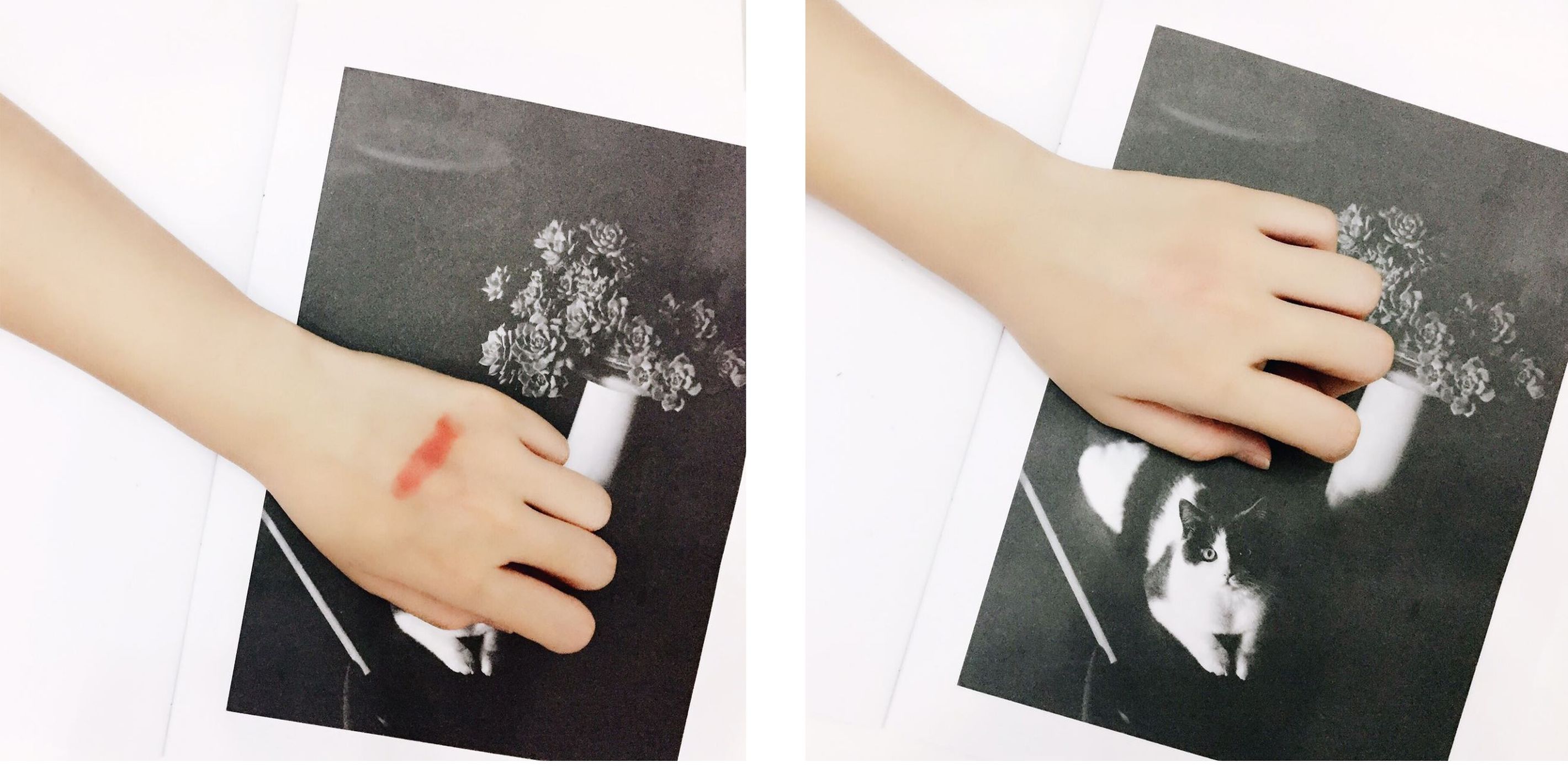 简单开罐头不费力,雪美清杨桃卸妆水保质期