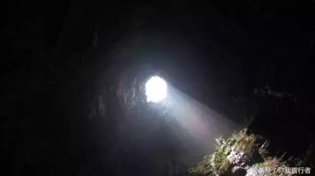 在深达数百米的天坑，大熊猫曾经到此一游