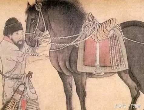 娓呬唬瑁樼毊,娓呮湞瑁樼毊