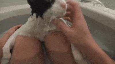 你们那管洗澡搓下来的泥叫什么?我们这叫“人渣”