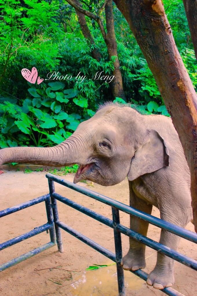 广州长隆水上乐园亲子游攻略视频,珠海长隆海洋快速通道亲子游攻略