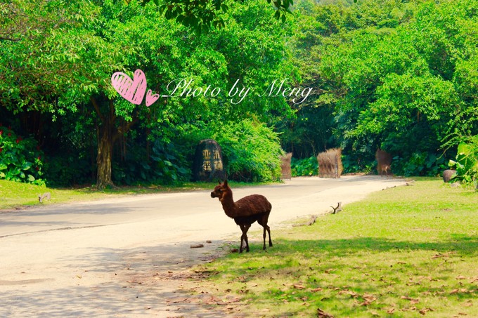 广州长隆水上乐园亲子游攻略视频,珠海长隆海洋快速通道亲子游攻略