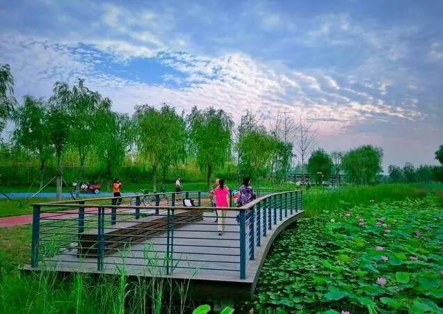 词风雅韵-冯振宇｜十里荷塘菡萏香一河碧水秀波光