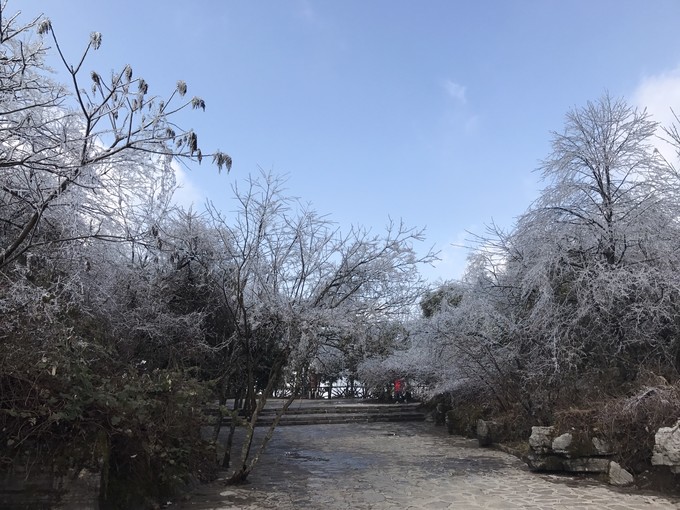 七天六晚长沙张家界吃货视角带你领略冰天雪地的张家