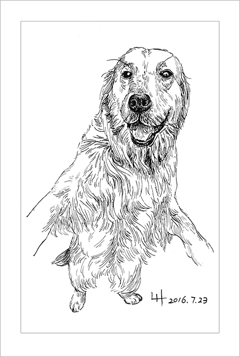 钢笔画动物昆虫,钢笔画家禽速写