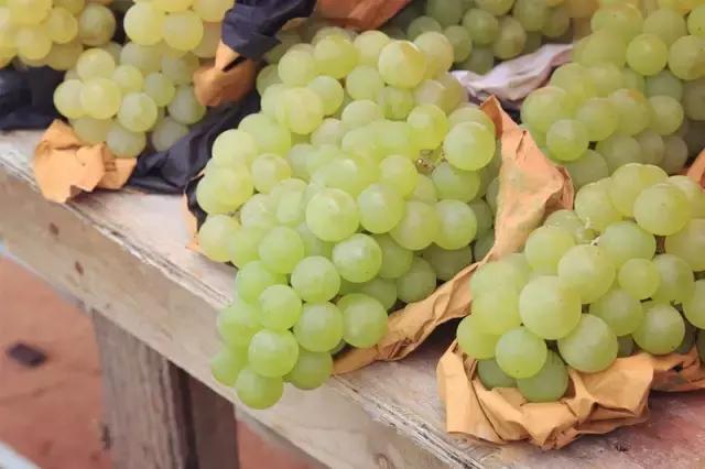 贵阳这个季节水果采摘线路，错过又要等一年