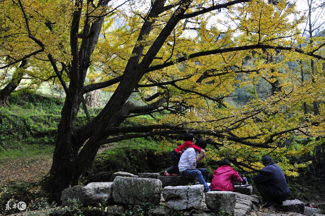 贵州省十大最穷的县,贵州省的哪个县最小