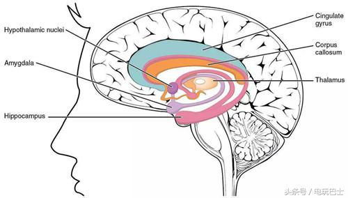 射击游戏可不可以增强大脑发育,玩射击类游戏有助于健脑吗
