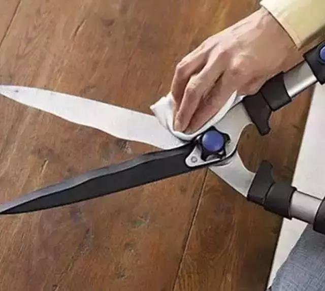 水养绿萝怎么用啤酒养,绿萝水养能用生根粉吗