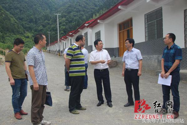 黄诗燕先进事迹醴陵,炎陵县委书记黄诗燕的先进事迹