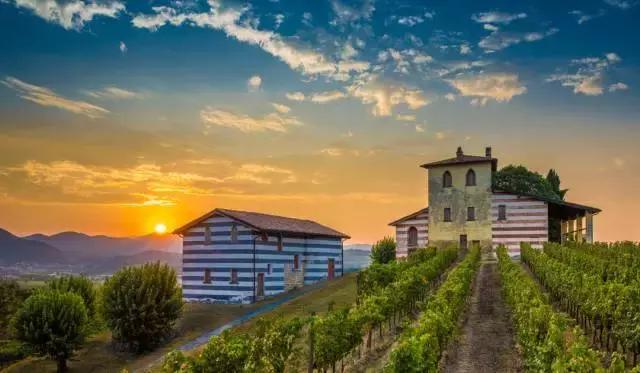 世界上最好喝的酒葡萄酒白色,全世界最好喝的干红