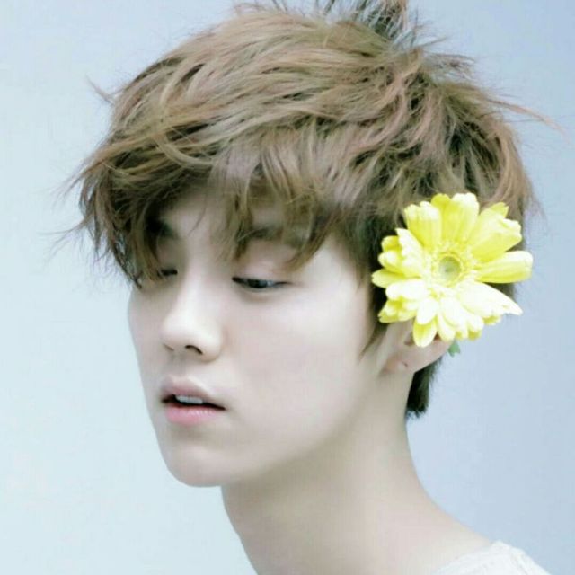 鹿晗近期发型,鹿晗换发型