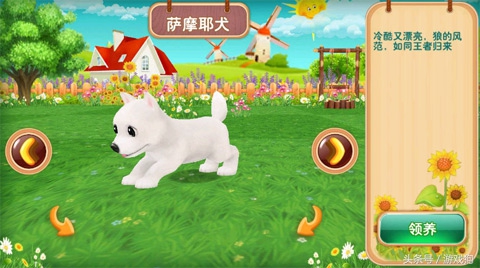 萌宠来袭宠物,超萌小宠物