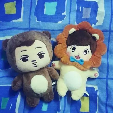 去看exo演唱会的事项,怎样在演唱会上引起爱豆的注意exo