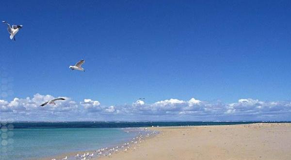 日照金山,日照直播