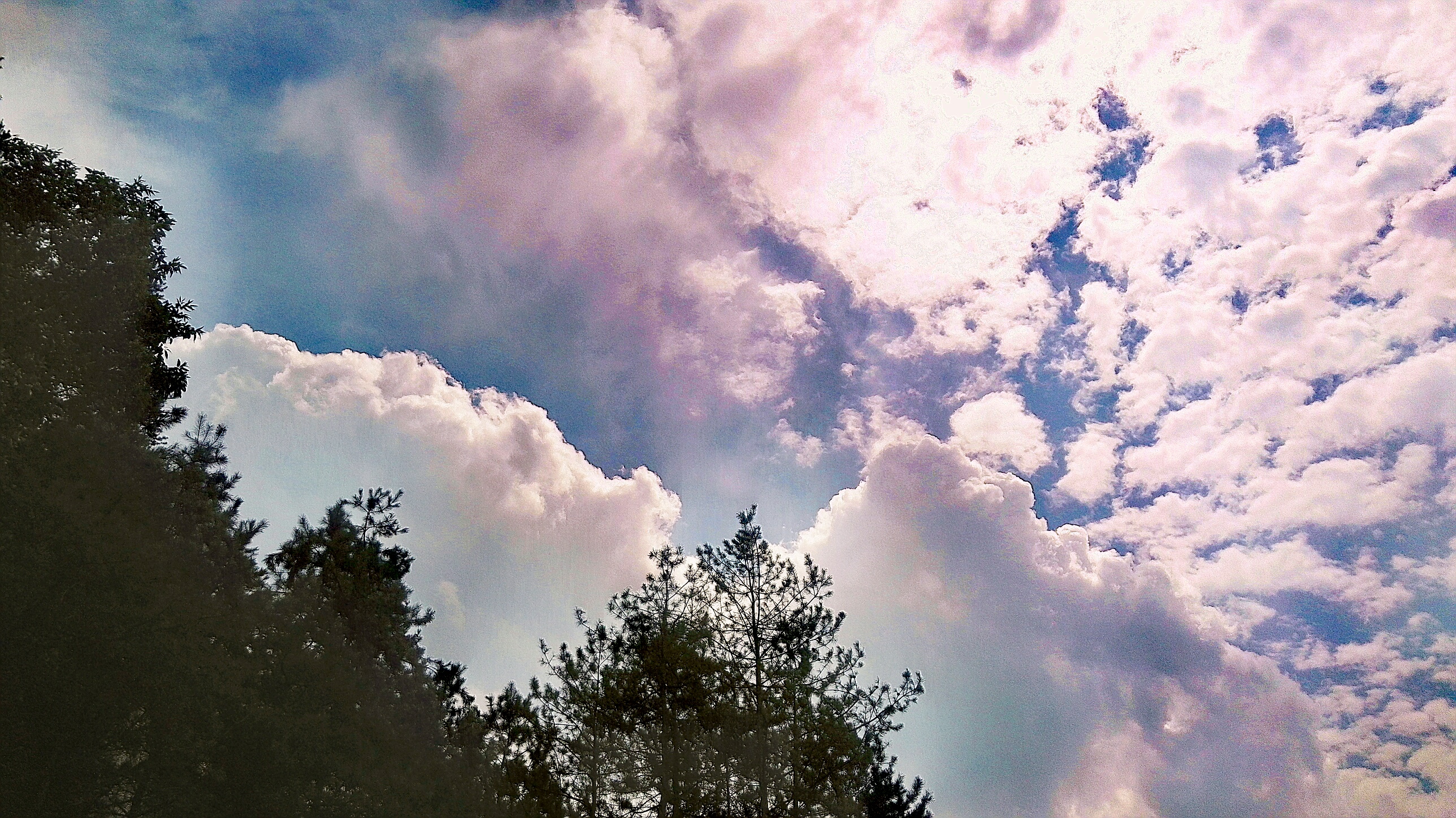 西安七夕公园,西安七夕公园有什么好玩的