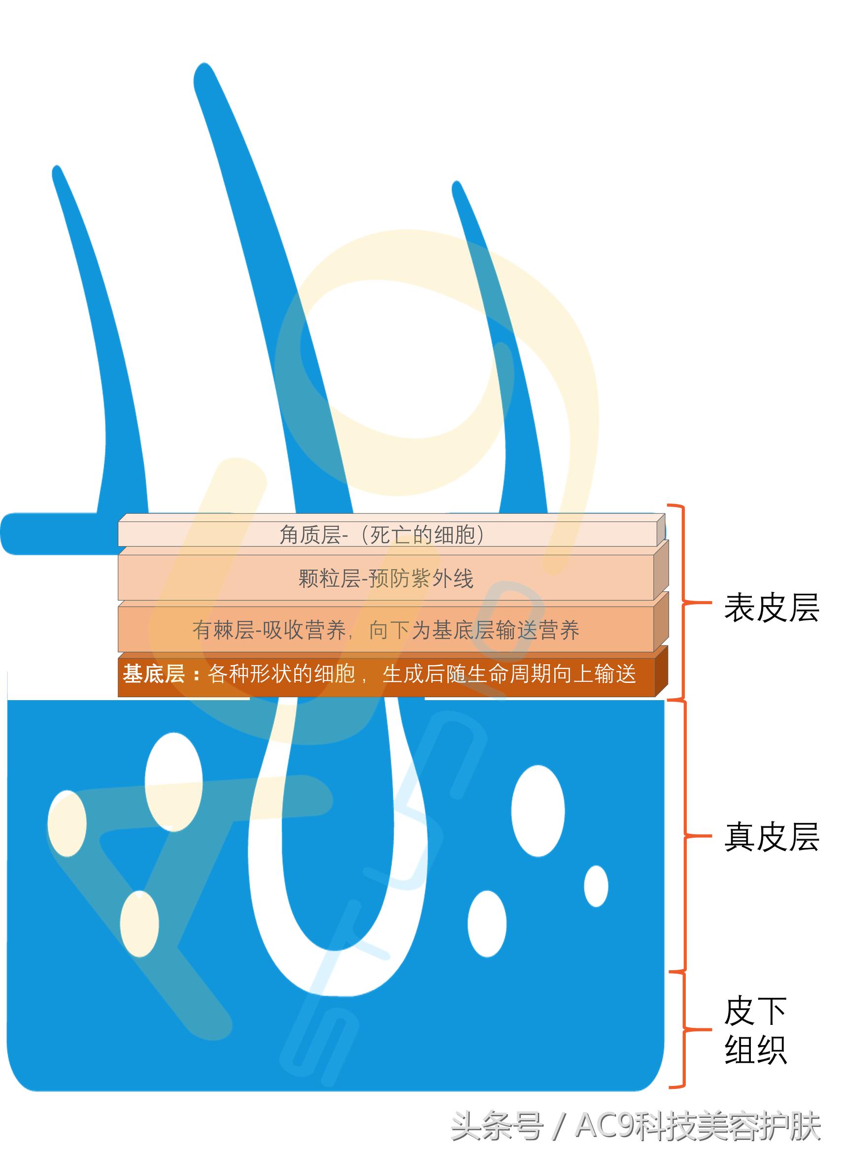 家里用什么洗脸可以清洁皮肤,用什么洗脸清洁皮肤