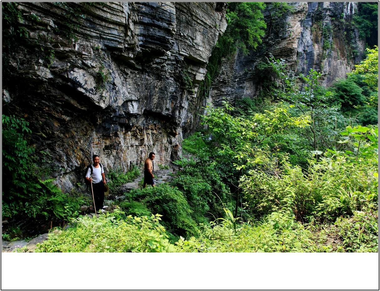 大山里的独户人家致富经,一个贫困山村的致富之路