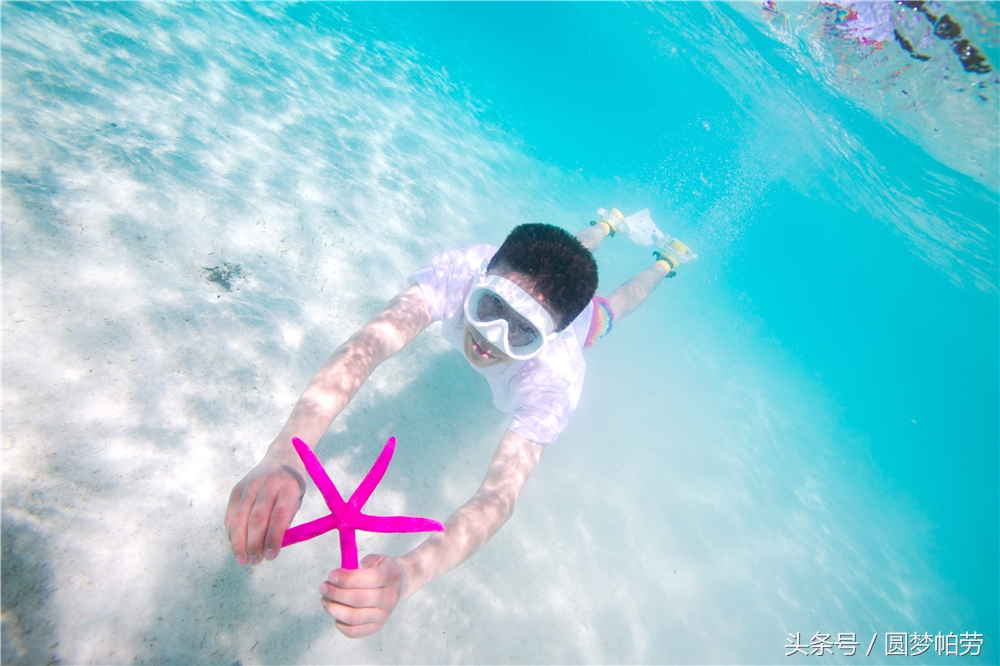 去帕劳旅游自由行行程,帕劳旅游景区行程