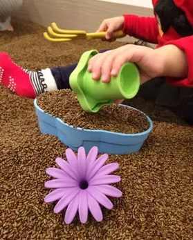 让孩子远离药物危险,婴幼儿可以接触决明子吗