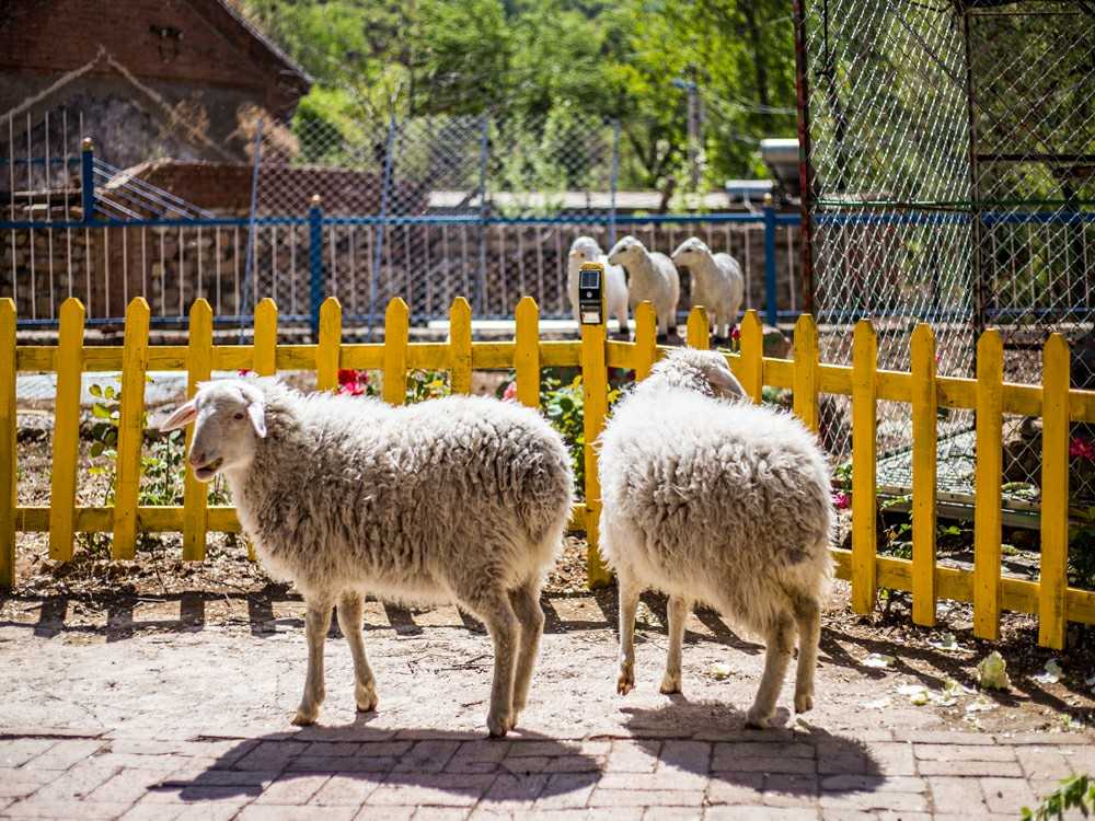 农家院精选评价,精品农家乐温泉住宿