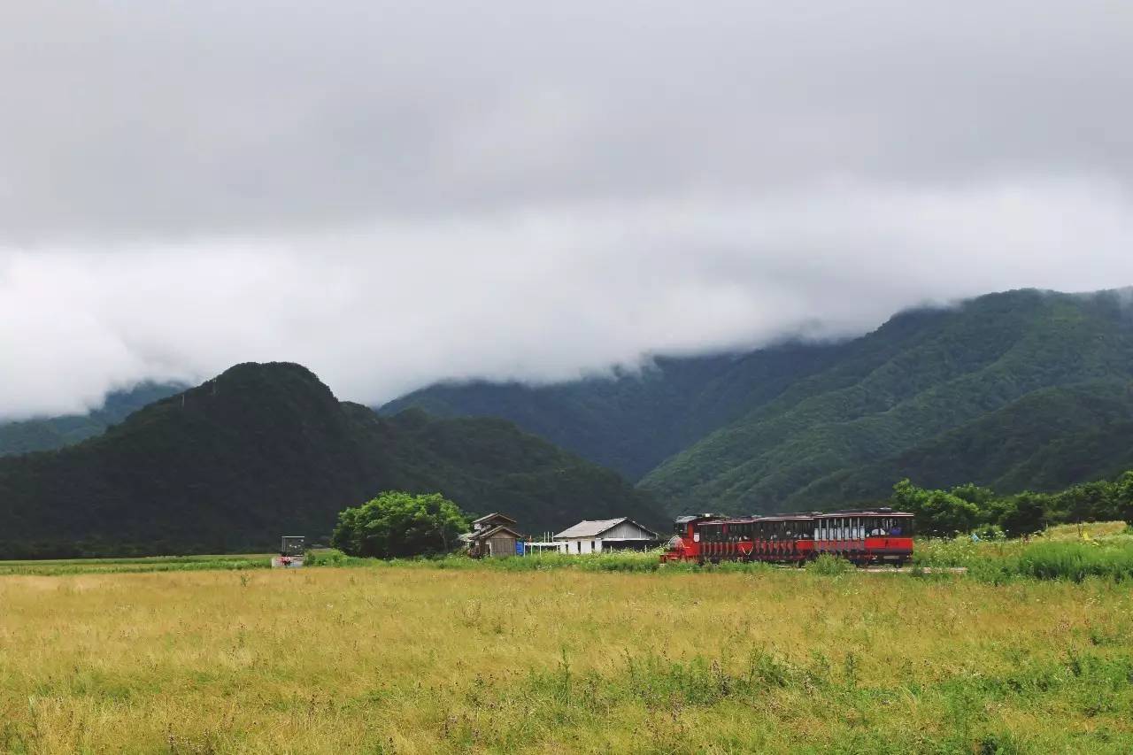 北纬30°神秘之境，在高山草甸、追逐鹿群，这里美的像天堂！