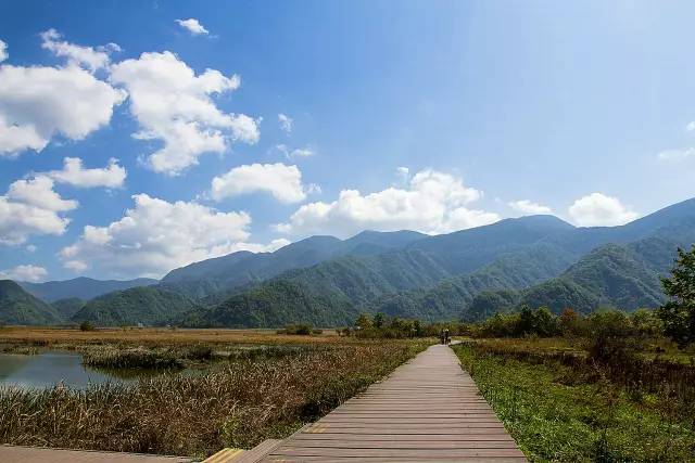 北纬30°神秘之境，在高山草甸、追逐鹿群，这里美的像天堂！
