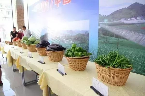 广元朝天曾家山美食,广元曾家镇美食