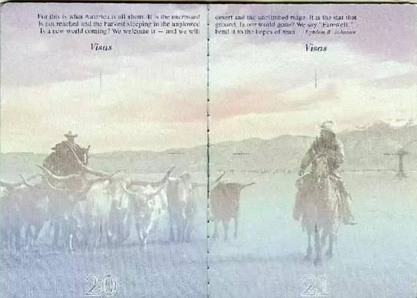 战狼2的护照与真实护照的区别,战狼的护照和现实护照不一样