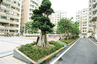 物管会成立意义,物管会的核心功能