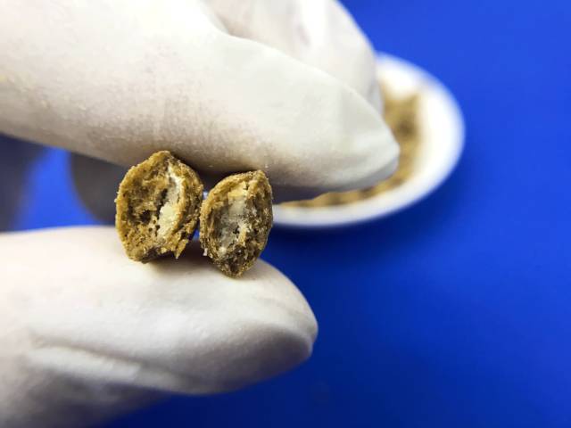 麦富迪猫粮喂流浪猫怎么样,喂流浪猫哪些猫粮便宜实惠