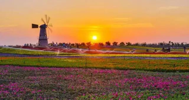 《滨湖使用说明书》，从它开始，重新认识滨湖！