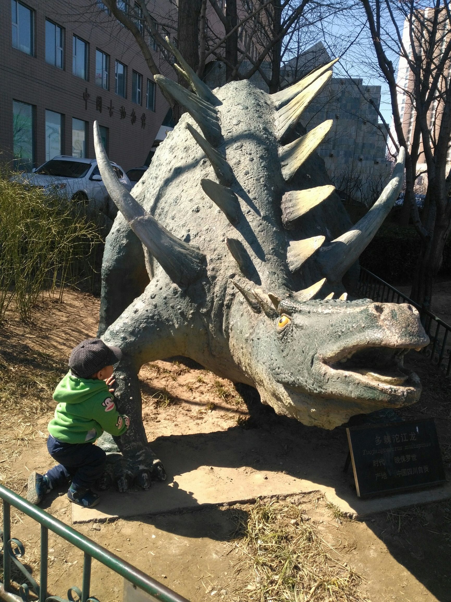 有图有真相搞笑,有图有真相分享