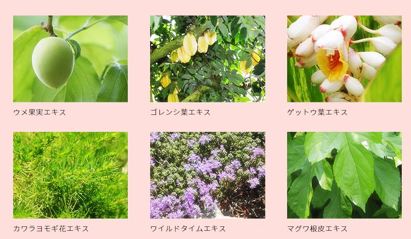 简单开罐头不费力,雪美清杨桃卸妆水保质期