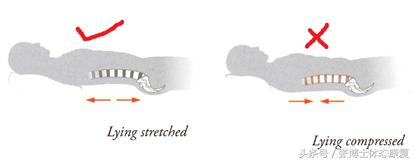 腰背肌训练的最佳睡姿,姿态训练视频
