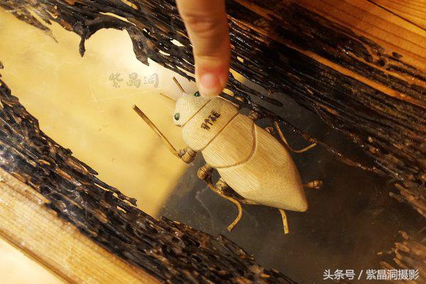 我们是谁?游客!我们做啥?木工!怎么做?打酱油!